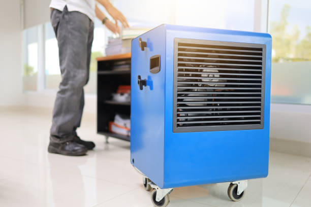 Professional Mold Removal in Rainbow City, AL